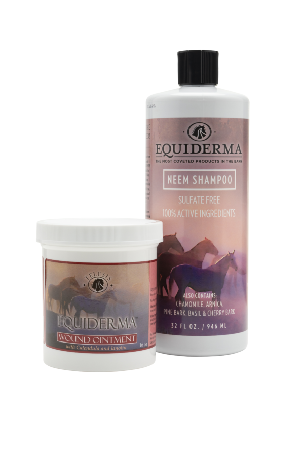 Equiderma Horse Wound Treatment Combo includes Neem Shampoo and Natural Calendula Wound Ointment