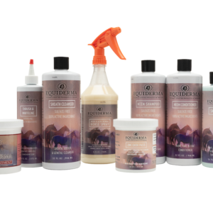 Equiderma Royal Spa Treatment with one of every product