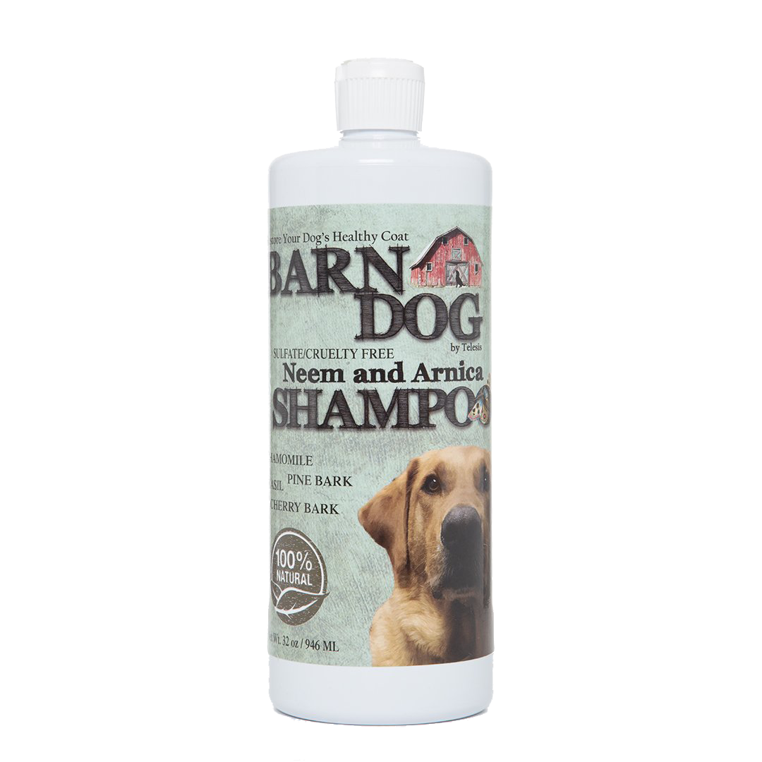 All Natural Neem Shampoo for Barn Dogs 
