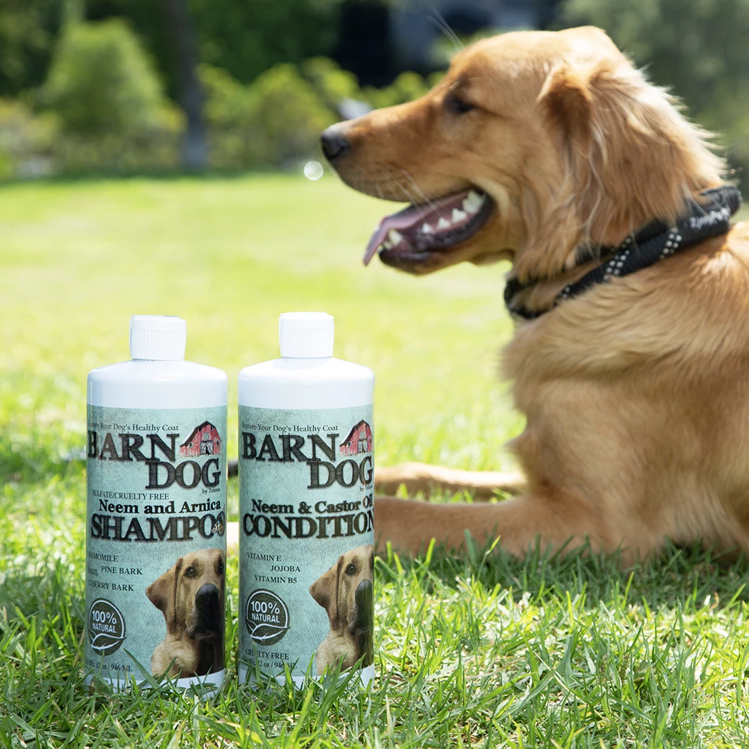 Dog_Products_lifestyle_shampoo_conditioner
