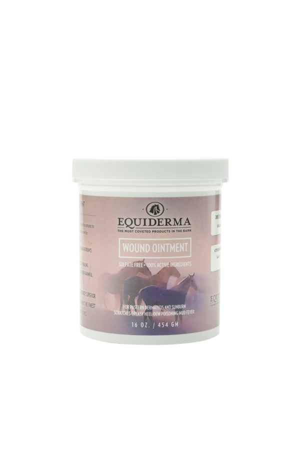 Pain Relieving Equiderma Natural Calendula Wound Ointment for horses and animals
