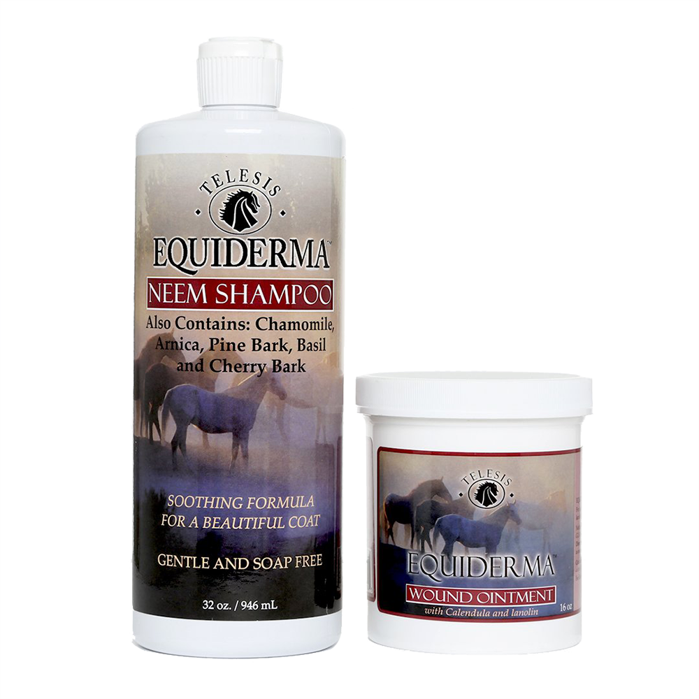 Equiderma Neem Shampoo and Calendula & Neem Wound Ointment for Horse