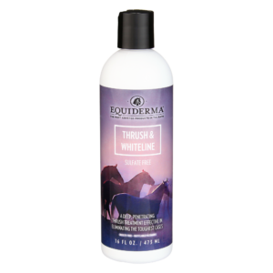 Thrush & Whiteline 16oz