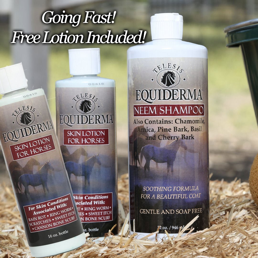 combo-lotion-deal
