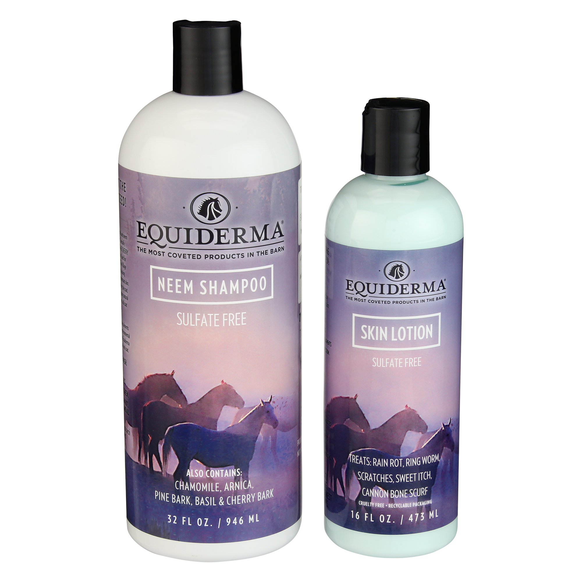 Shampoo & Lotion Combo