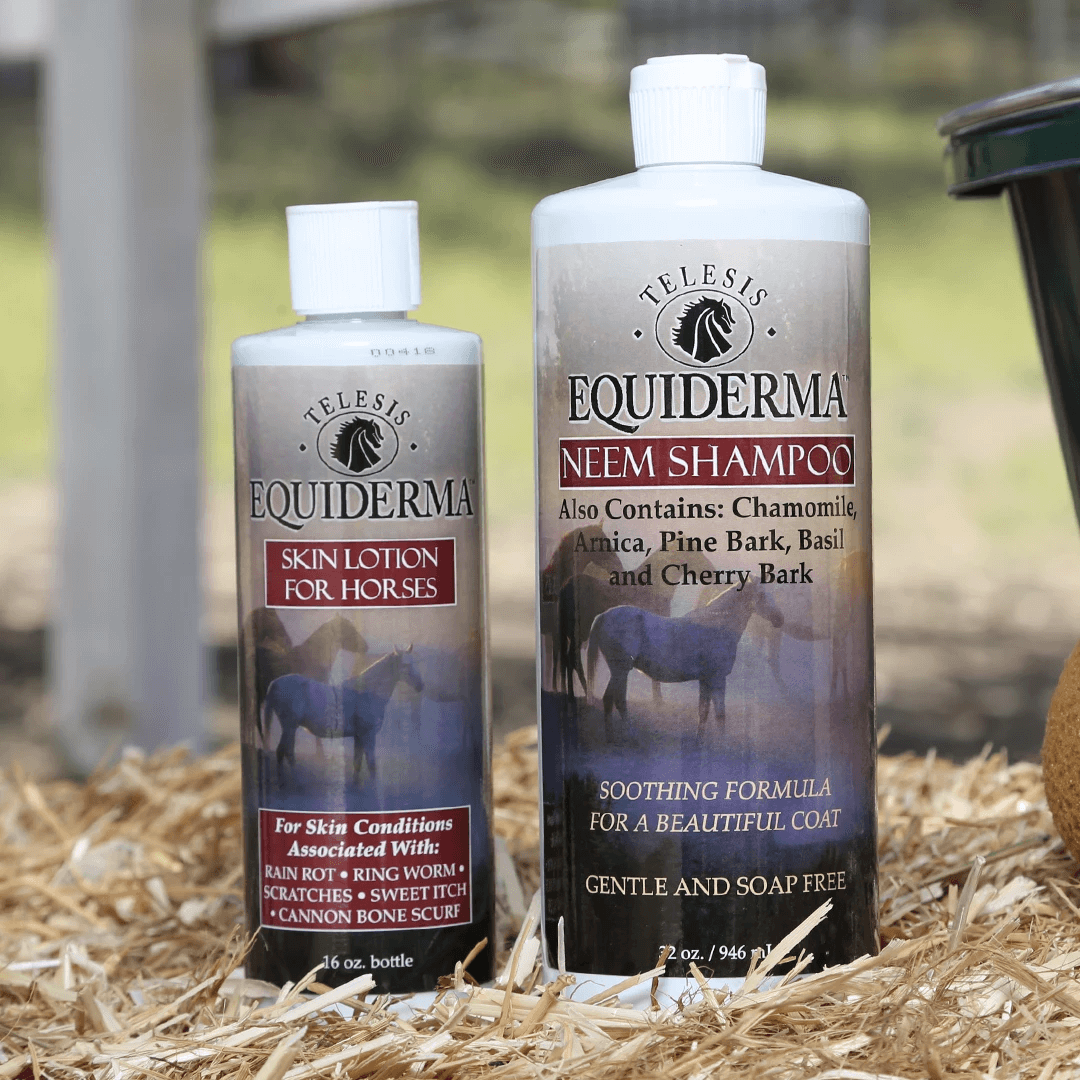 lifestyle_lotion_shampoo