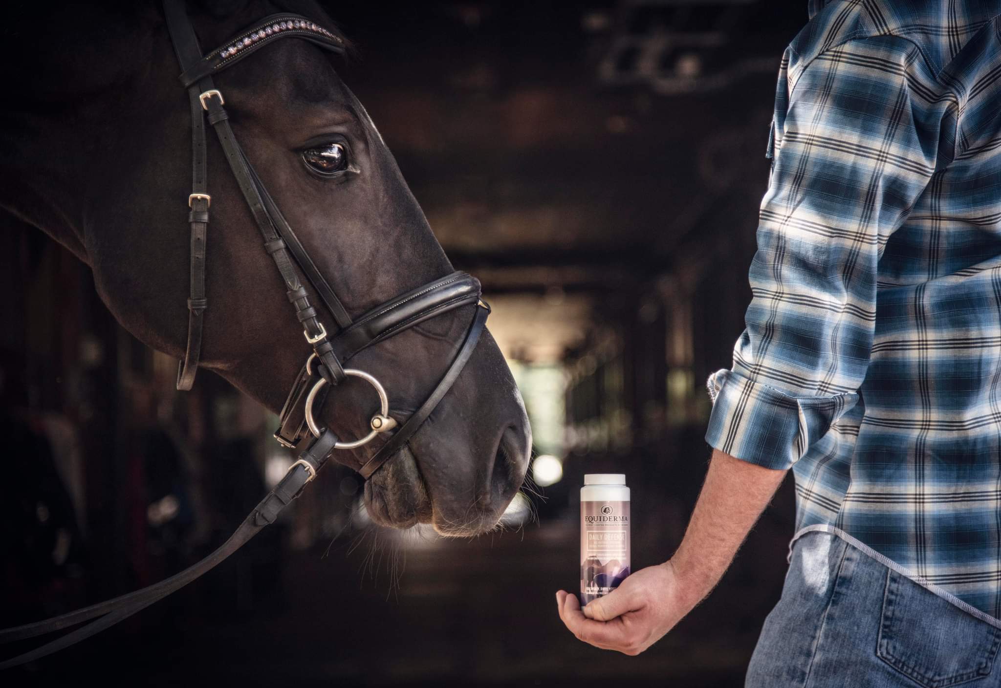 Horse and man with Equiderma Daily Defense Dry Shampoo Powder