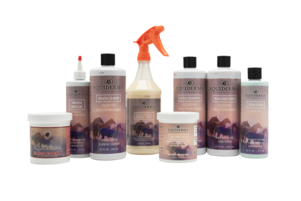 Equiderma Royal Spa Treatment with one of every product