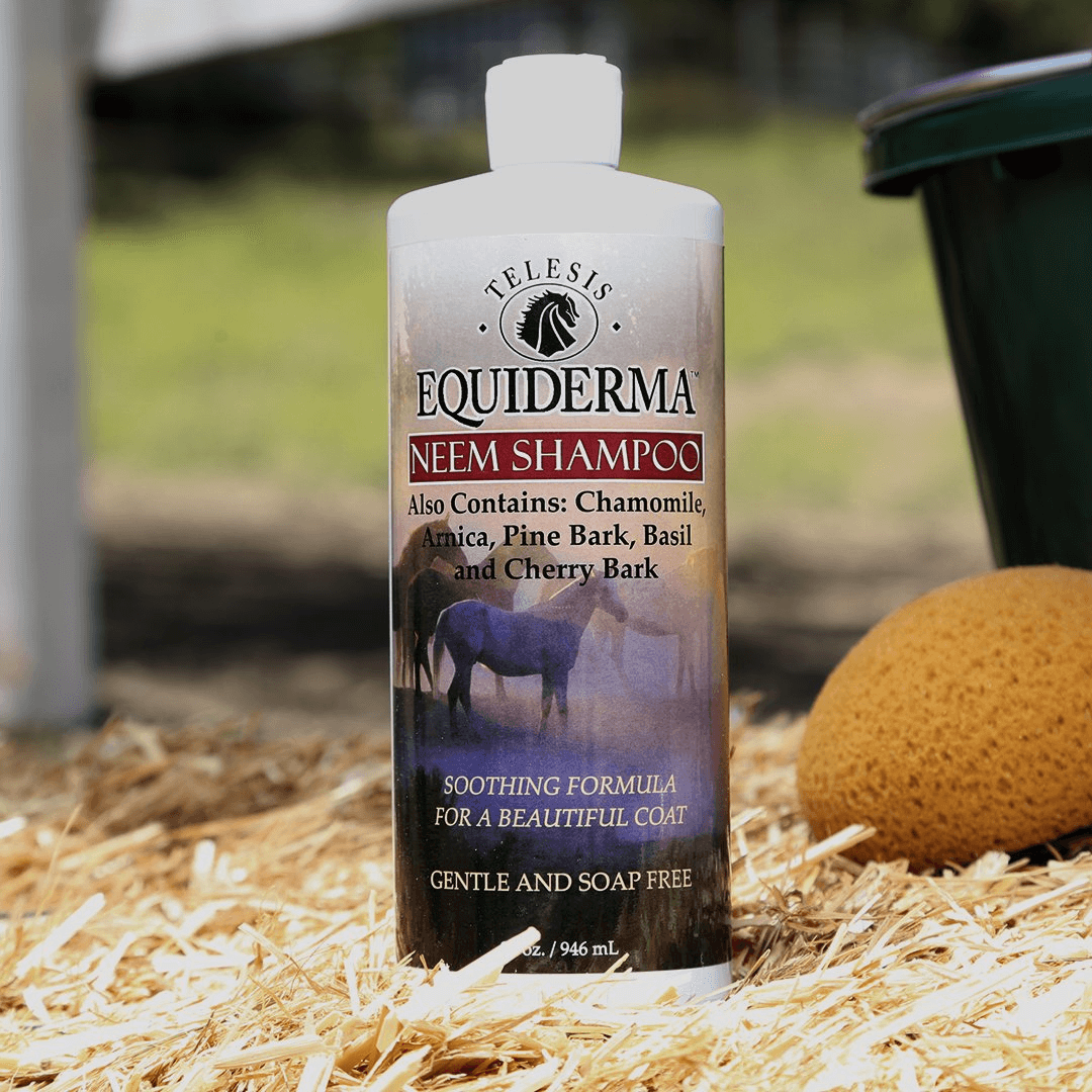 Neem Shampoo
