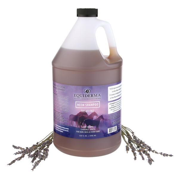 Neem Shampoo Gallon