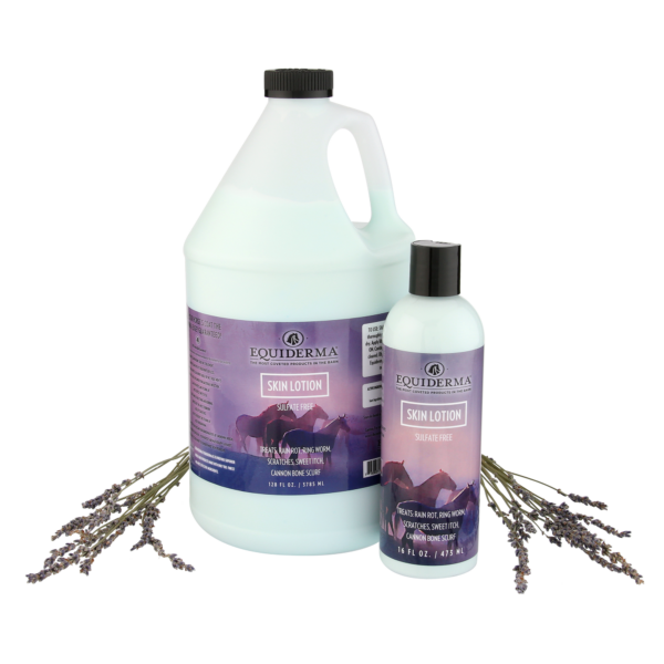 SALE! Buy a Gallon of Skin Lotion, Get a 16oz Free